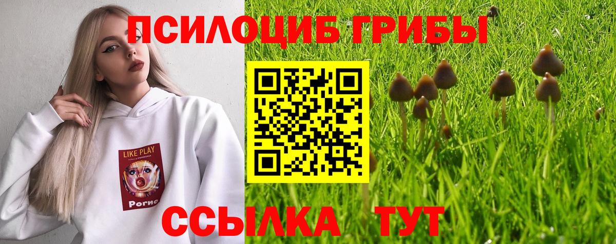 Галлюциногенные грибы ЛСД Южноуральск